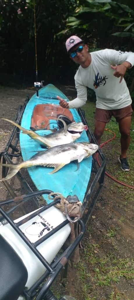 rooster fish kayak fishing osa peninsula 
