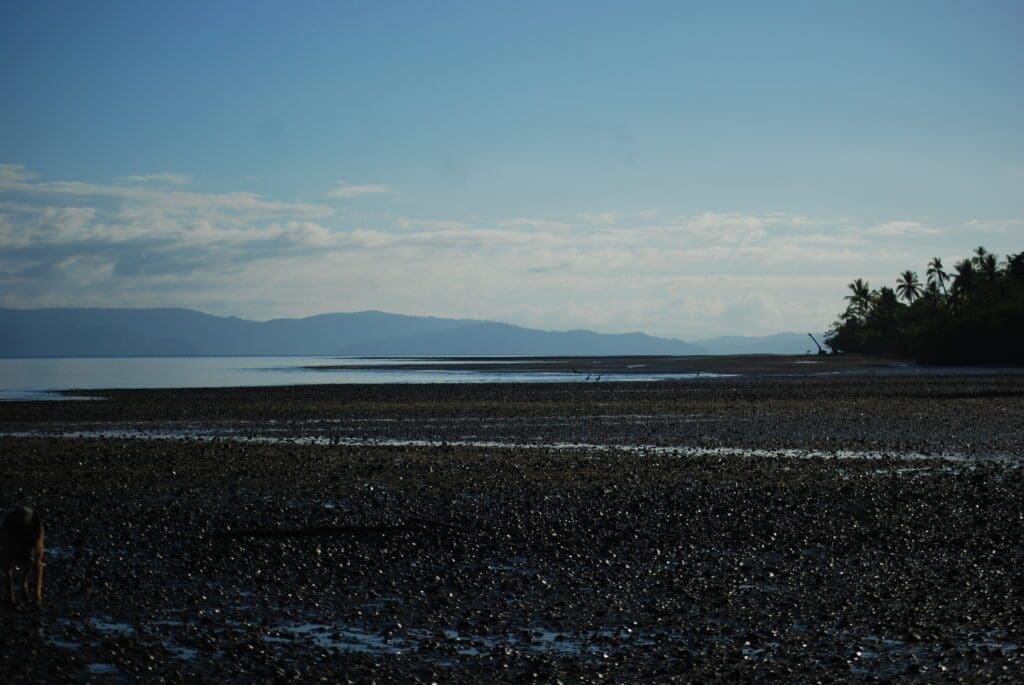 Sandalo Beach . Osa Peninsula Costa Rica