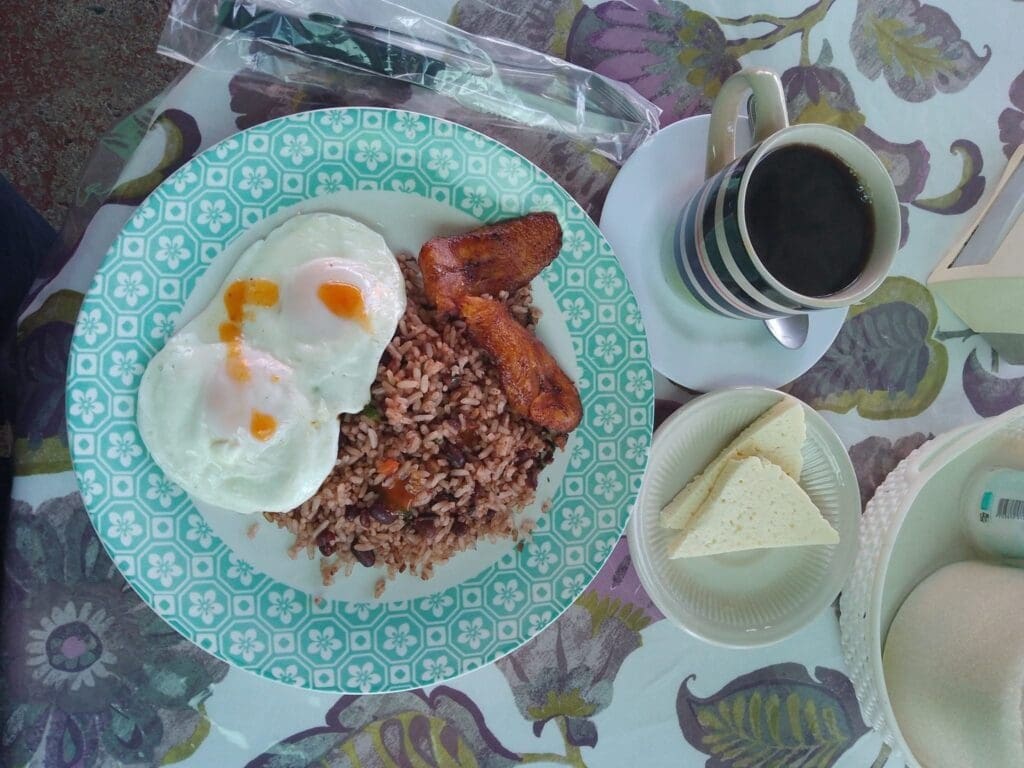Gallo pinto puerto jimenez