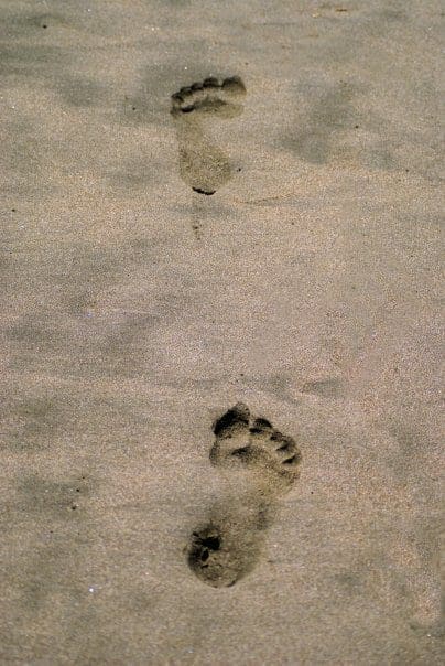 leave only foot prints