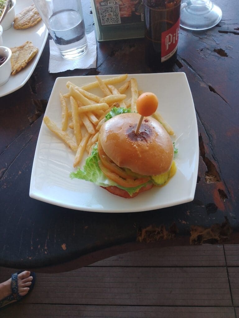 delfines hambuger. puerto jimenez osa peninsula