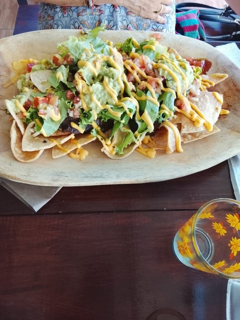 bean and vegetable nachos  osa peninsula 