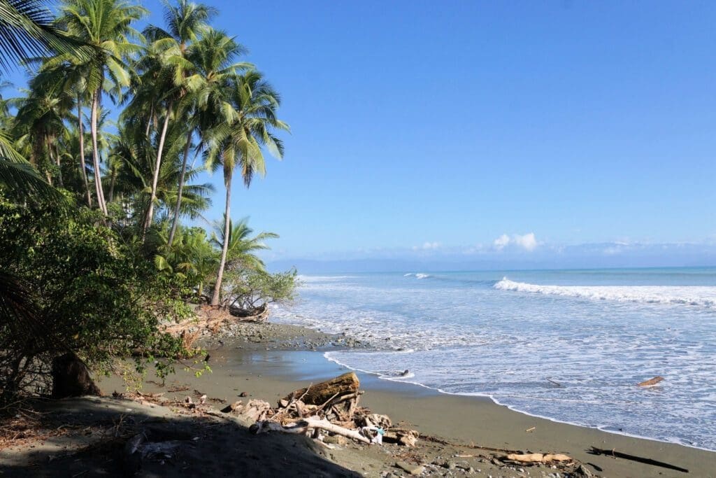 Osa Peninsula Travel Guide & Directory | Costa Rica