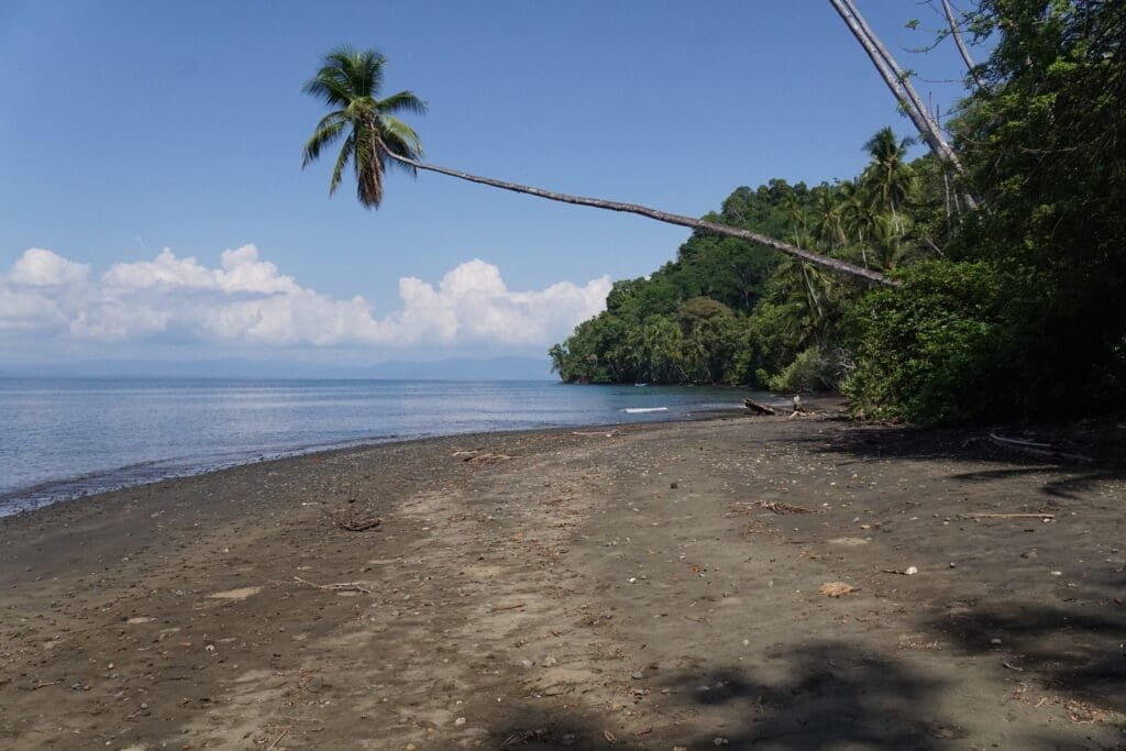 osa peninsula beach