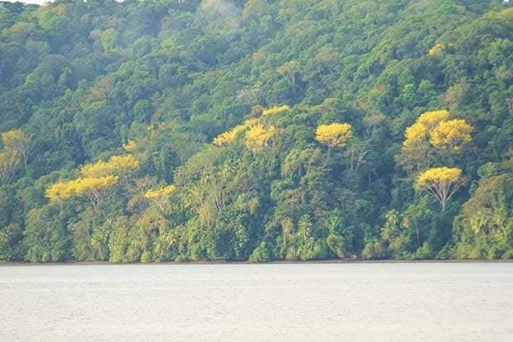 Corcovado park osa peninsula