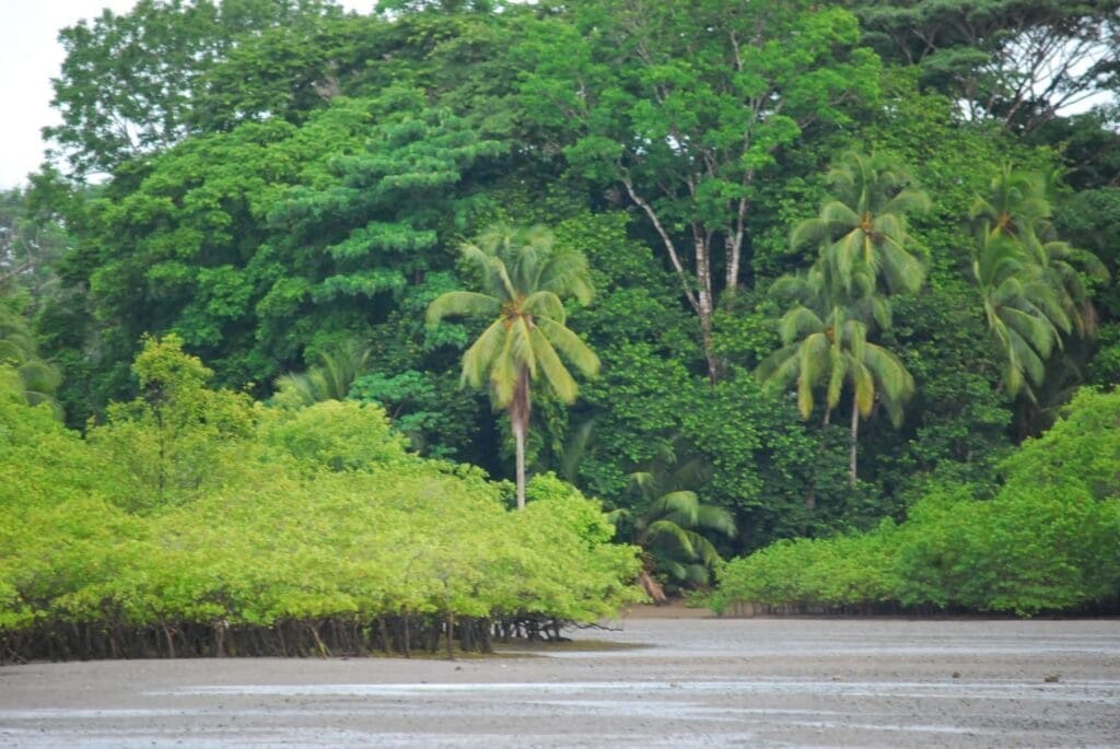 Sandoalo beach osa peninsula