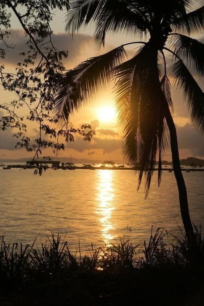 Another Day in Paradise: The  Magic of the Osa Peninsula.