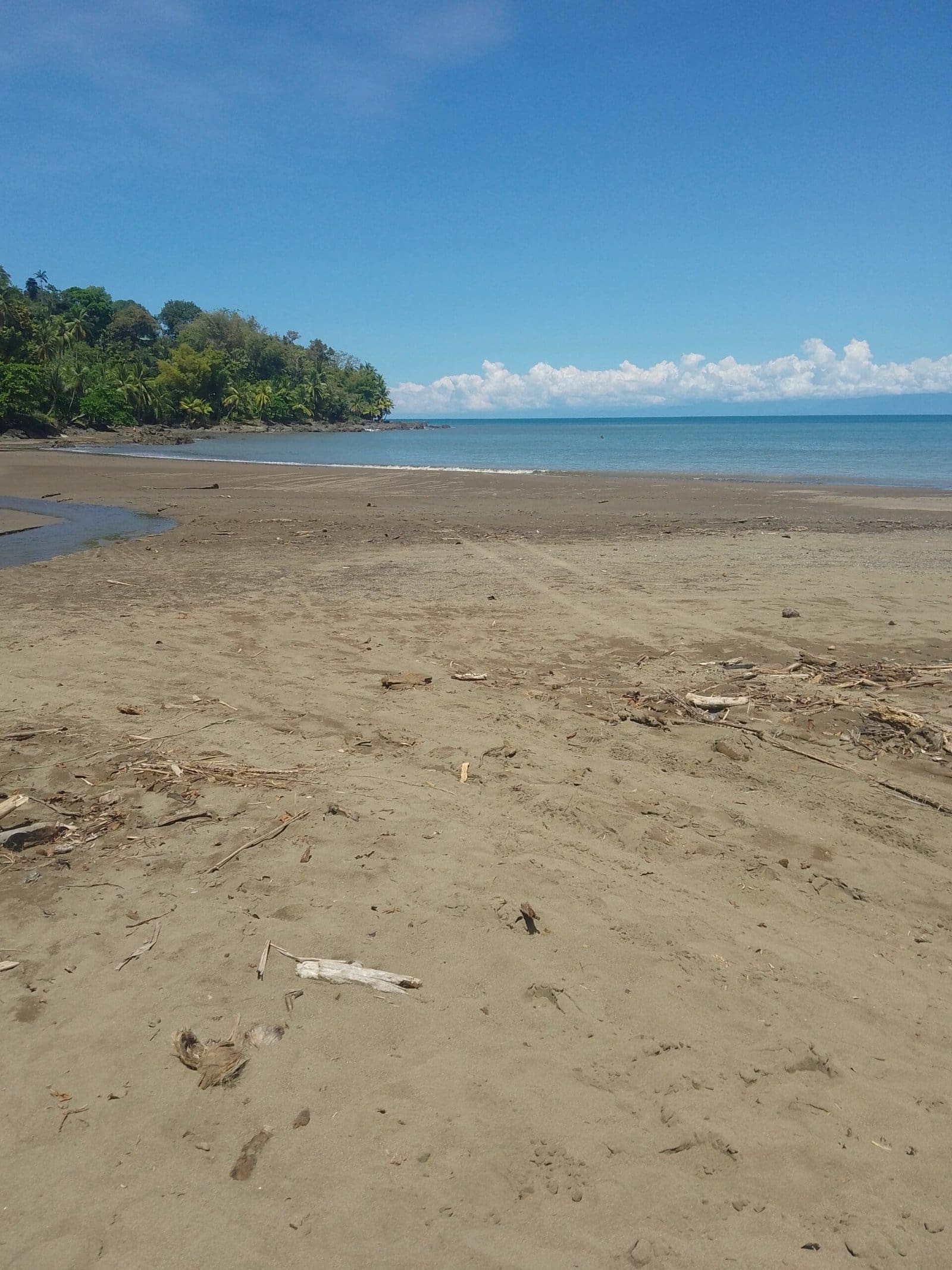 Drake Bay Travel Guide for First-Time Visitors